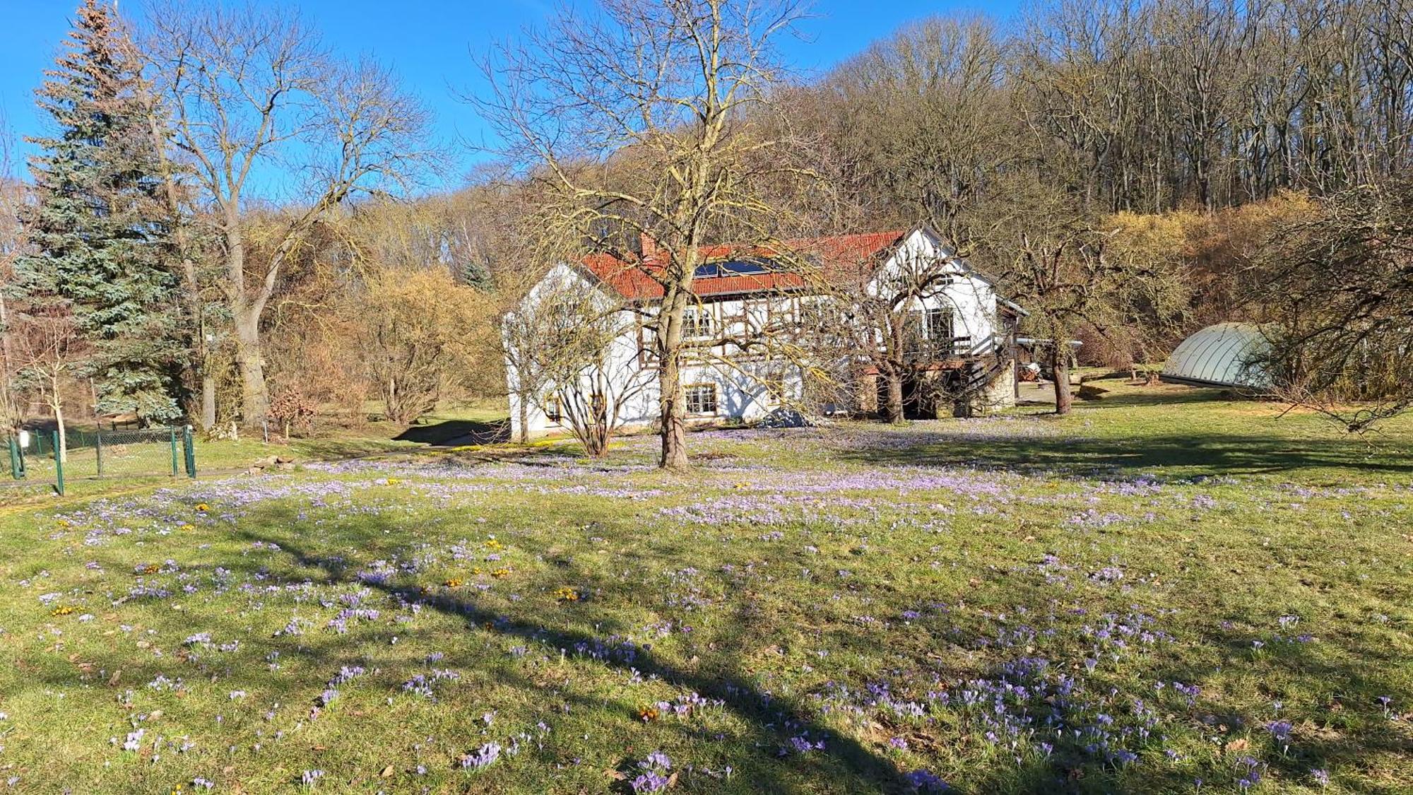 Ferienwohnung Obermühle Ballstädt Zimmer foto